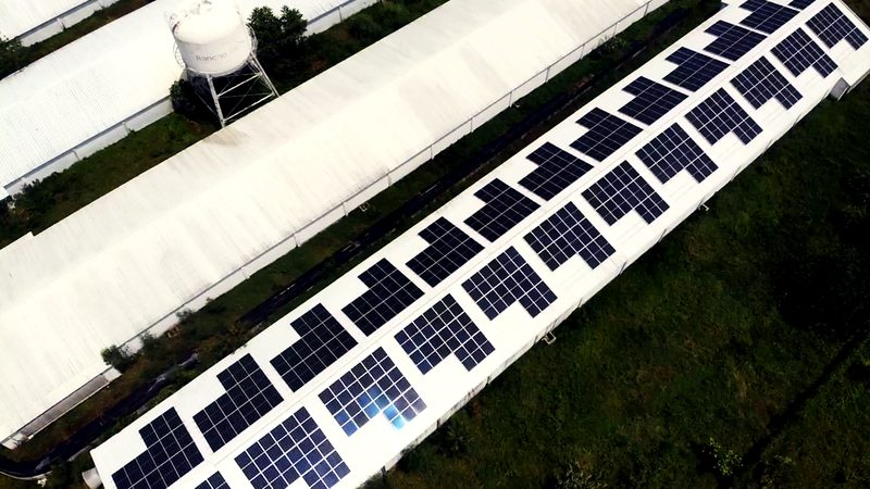 Solar panels installed by Lumiel Development Corp in the Philippines